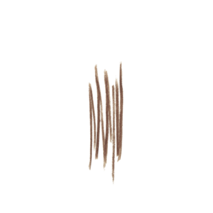 퍼펙트 브로우 듀오