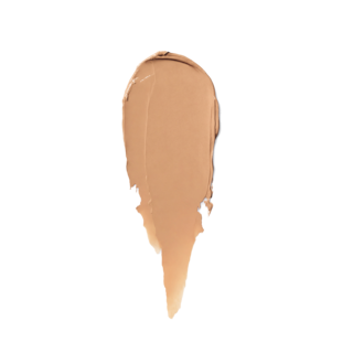 코렉터